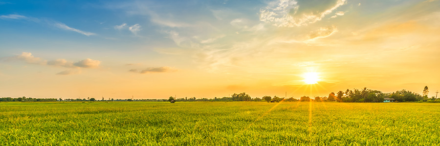 A sunset over a large field